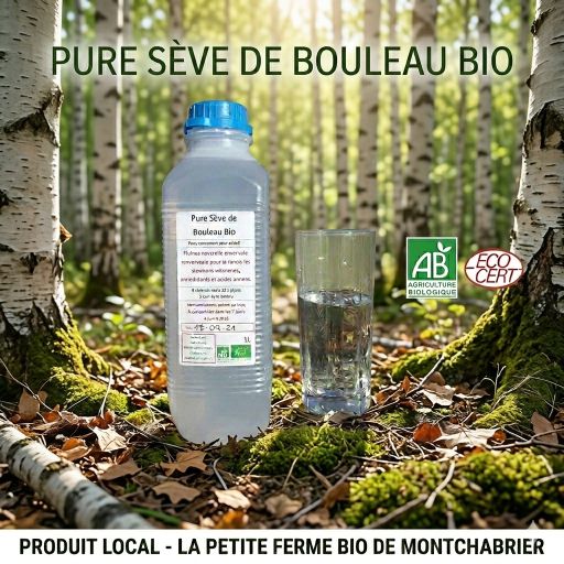 La petite ferme bio de Montchabrier's logo